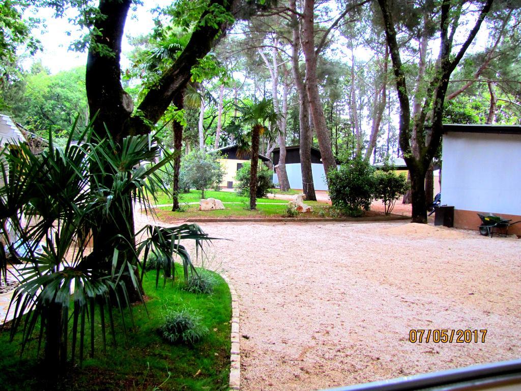 Holiday Park Mimoza Bašanija Eksteriør billede